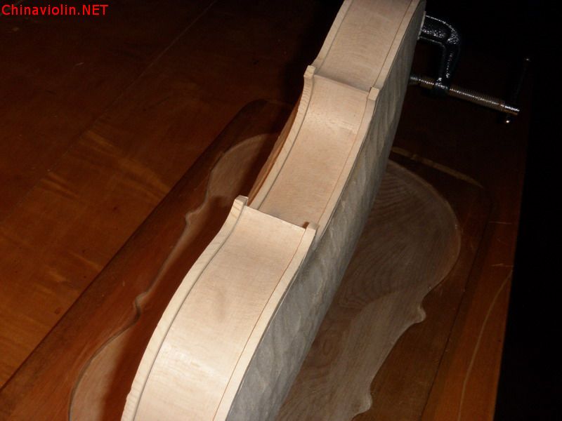 p1010231.jpg