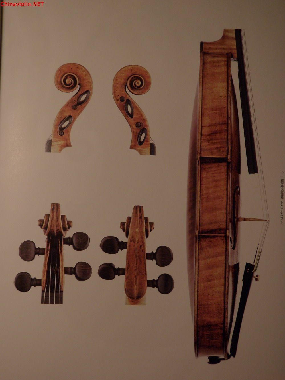 p1010045.jpg