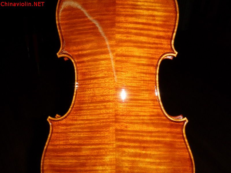 p1011288.jpg
