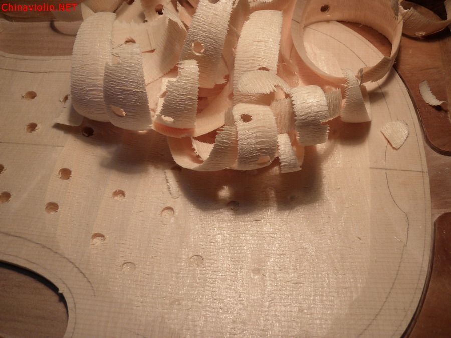 p1011232.jpg
