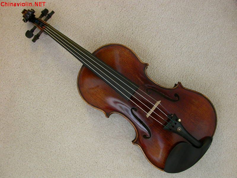 violin_front.jpeg