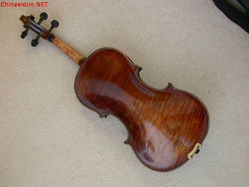 violin_back.jpeg