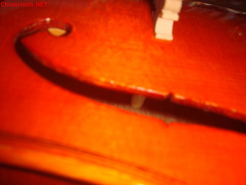 dsc05358_副本.jpg