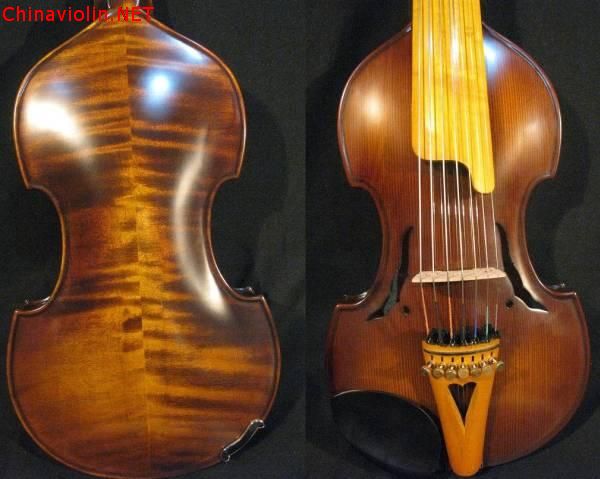 viola dmore-1.jpg