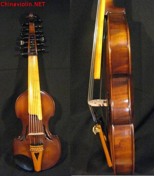 viola dmore-3.jpg