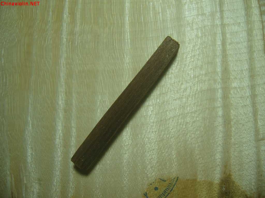 snv80564.jpg