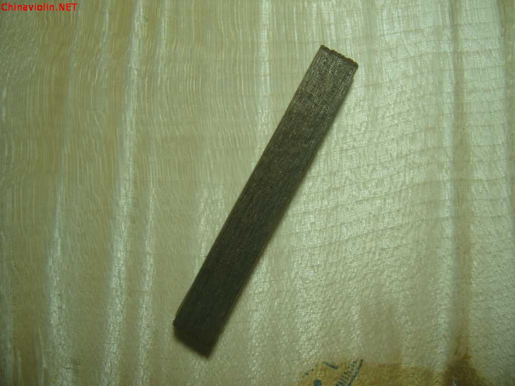 snv80565.jpg