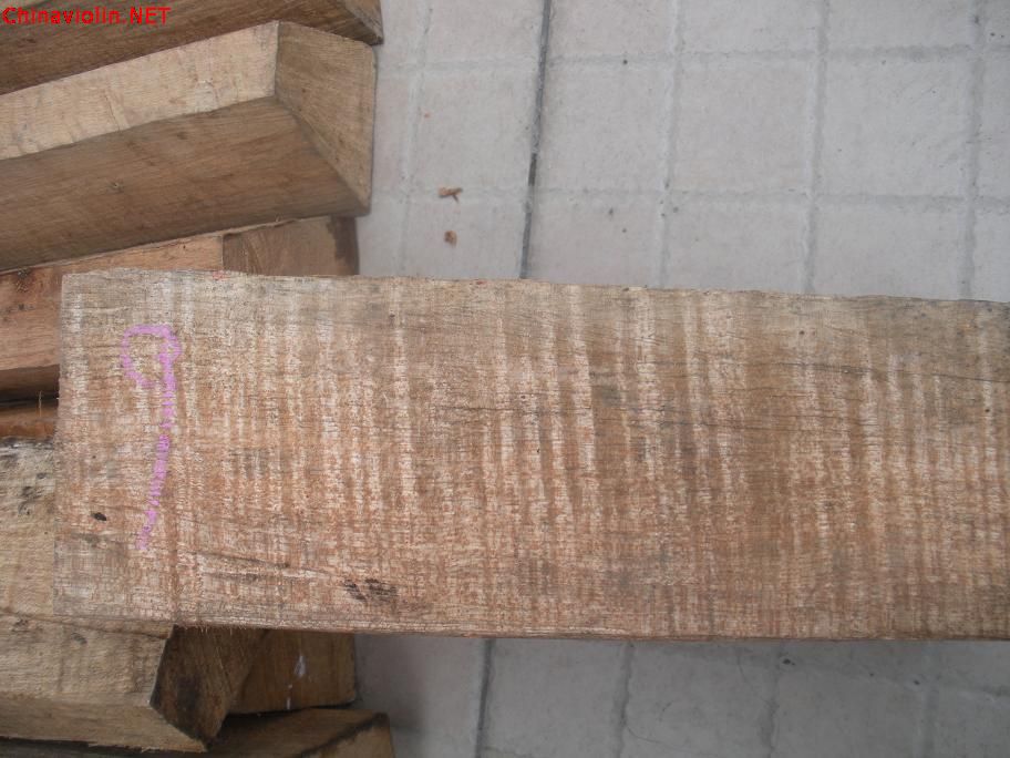 dscn2939.jpg