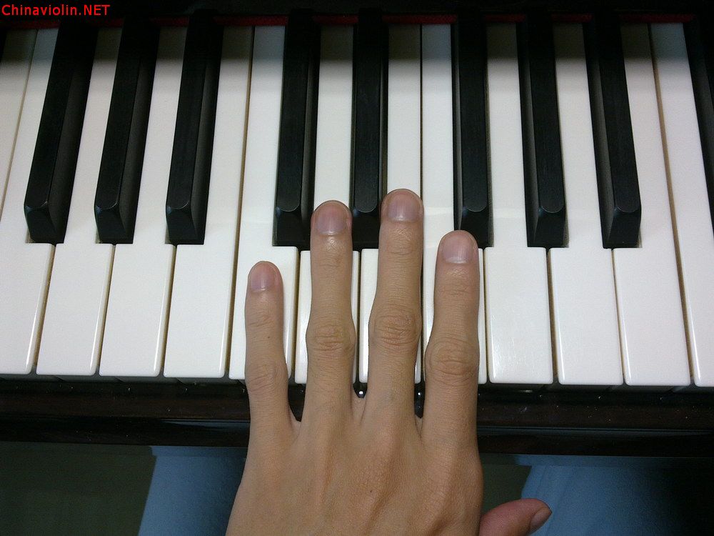20121122974.jpg