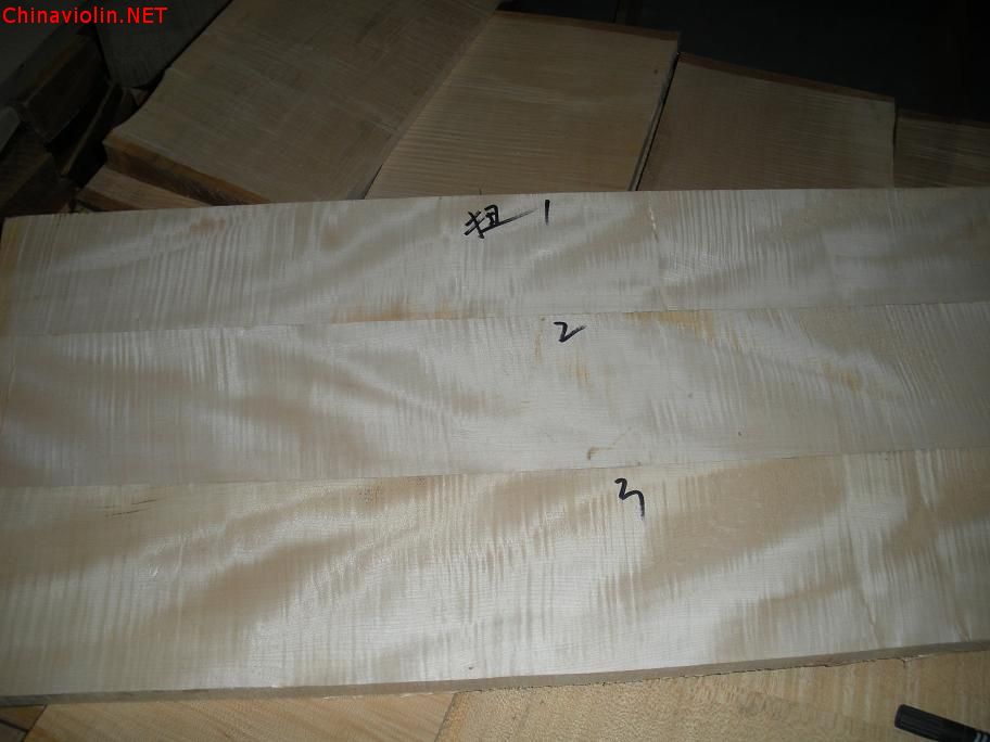 dscn2820.jpg