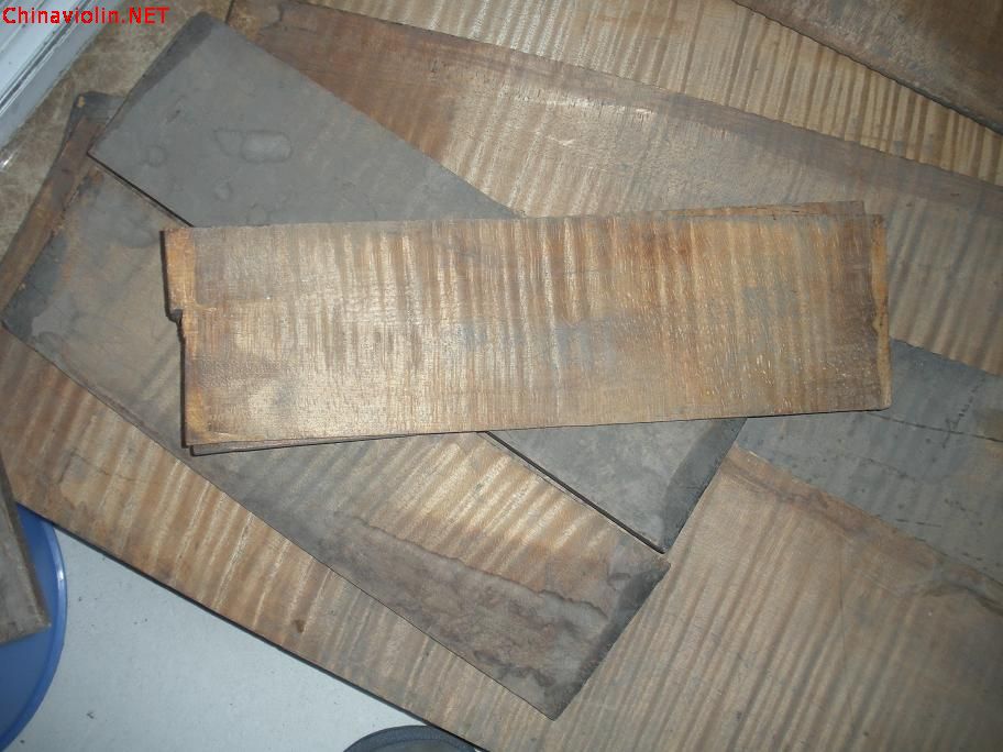 dscn3229.jpg