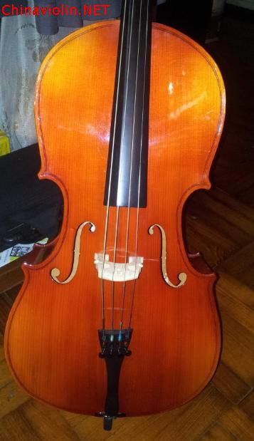 cello-41-20121214-front.jpg