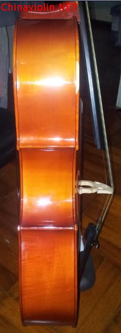 cello-41-20121214-side.jpg