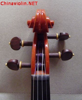 54.jpg