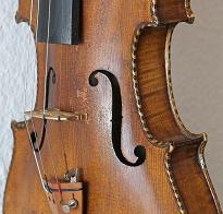 复件 stainer4.jpg