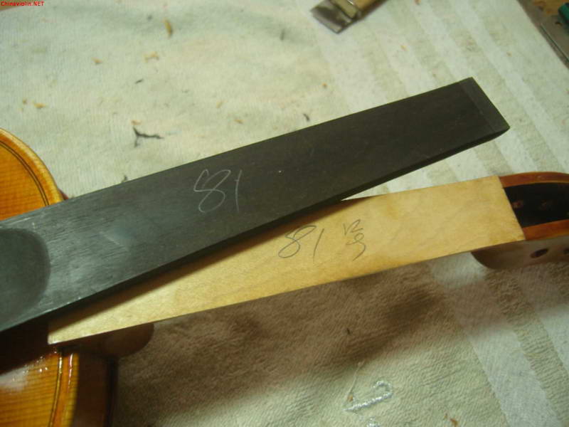 snv81403.jpg