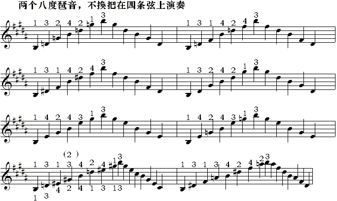 半音模进式琶音四4.gif