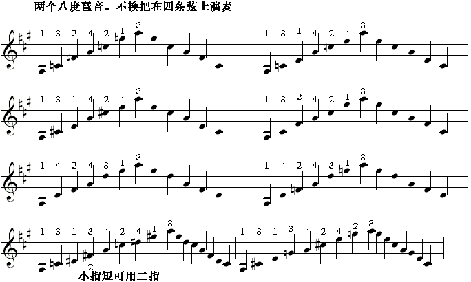 半音模进式琶音二-4(10,19).gif