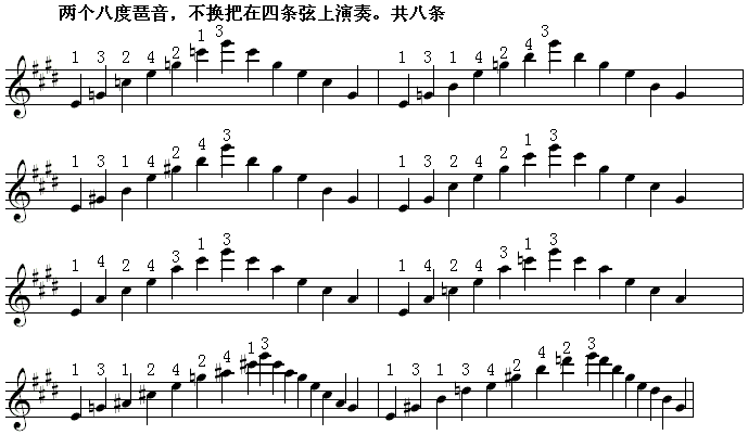 半音模进式琶音九4.gif