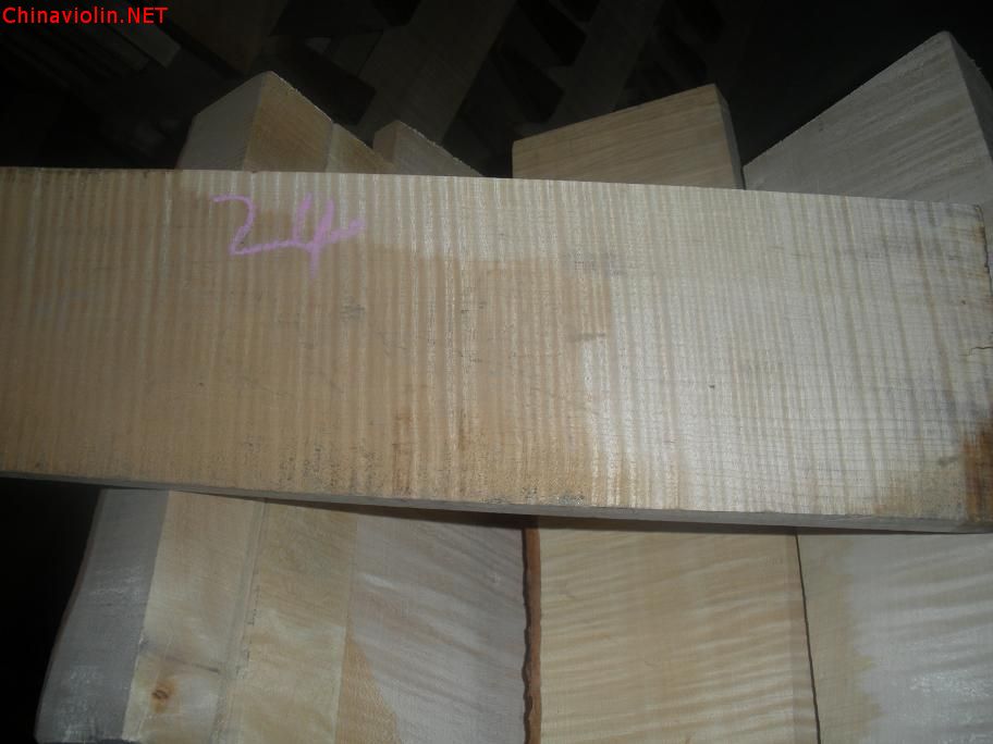 dscn3196.jpg