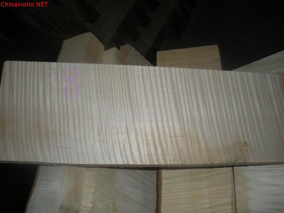 dscn3167.jpg