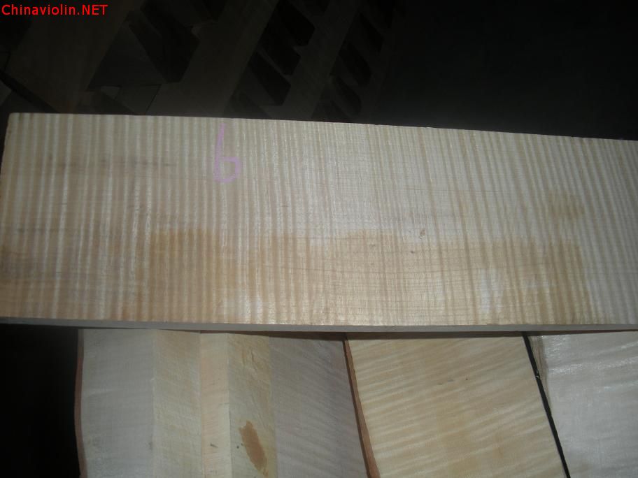 dscn3163.jpg