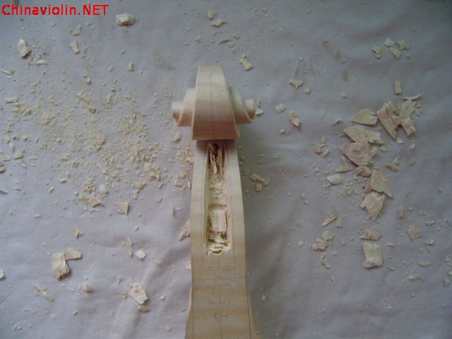 77.jpg