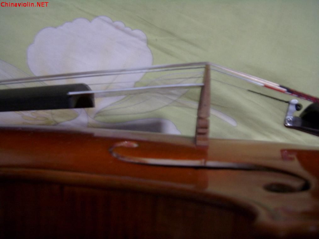 s73r3040.jpg