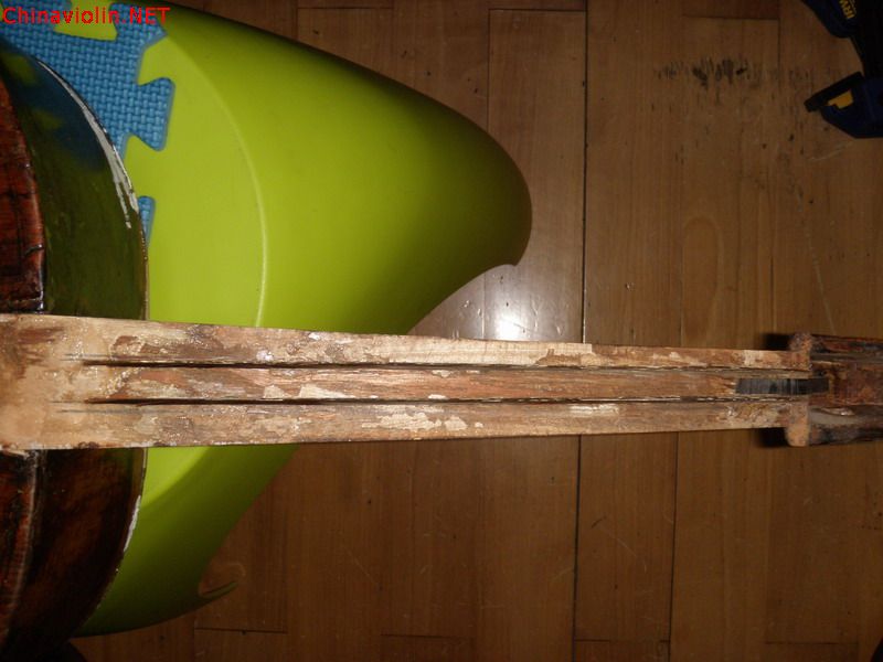 p1011897.jpg