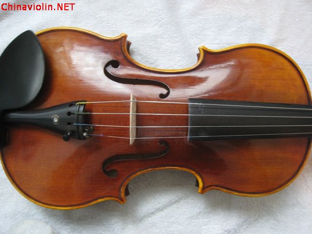 照片6.jpg