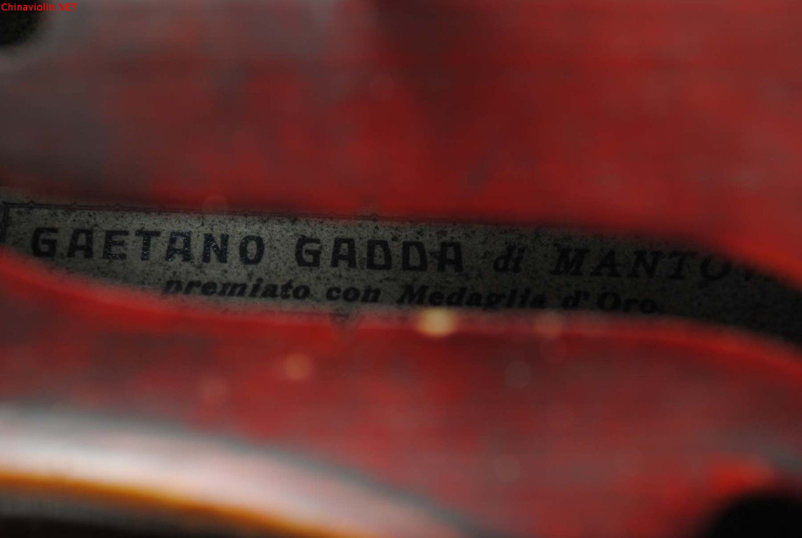 gadda12.jpg