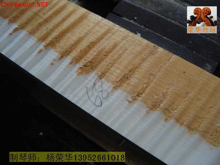 neo_img_snv88536.jpg