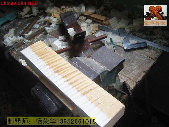 neo_img_snv88537.jpg