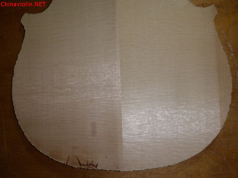 p1011847.jpg
