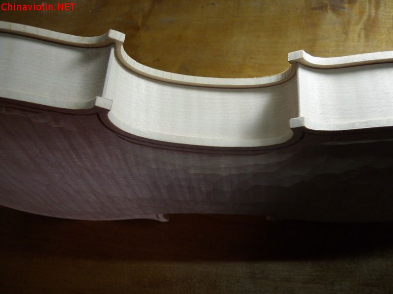 p1011872.jpg