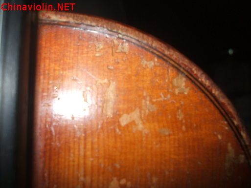 dscf8231.jpg