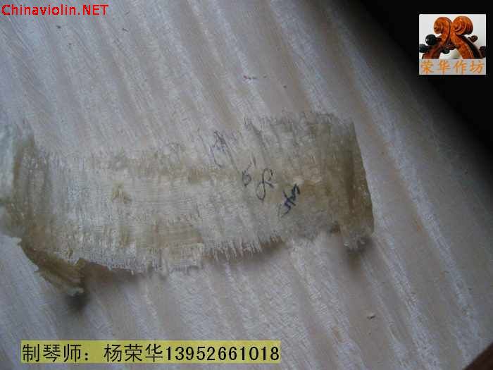 neo_img_snv88519.jpg