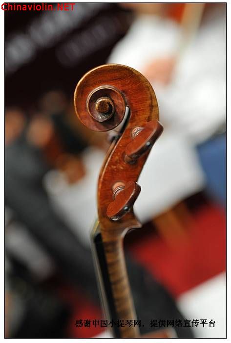中国（上海）优秀提琴制作师作品展 跟踪报道！！！