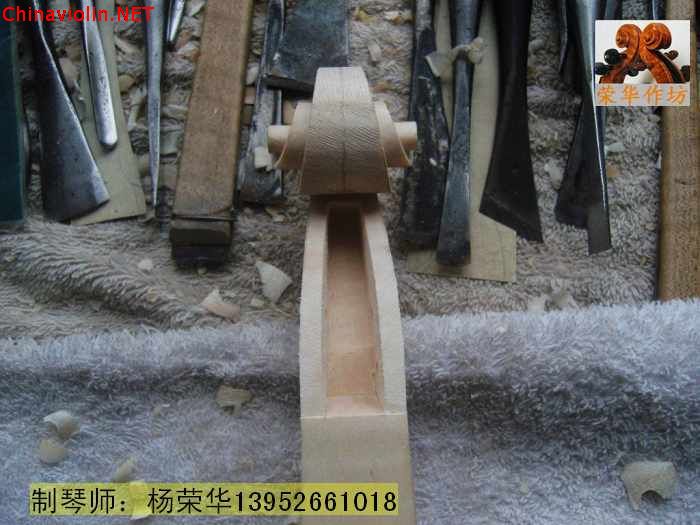 neo_img_snv88572.jpg