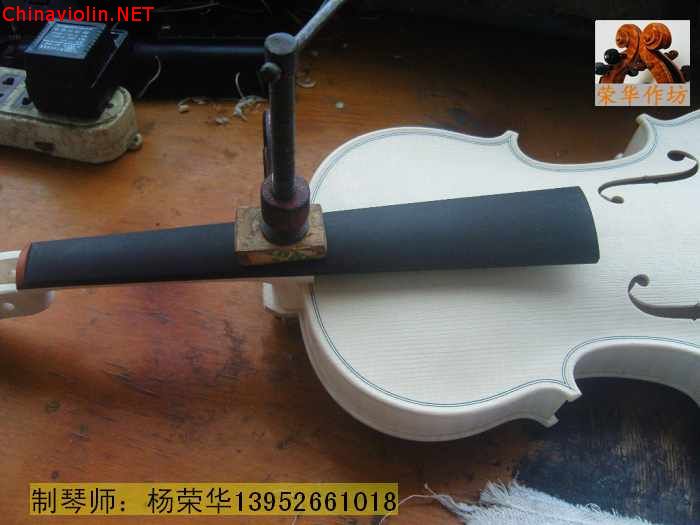 neo_img_snv88695.jpg