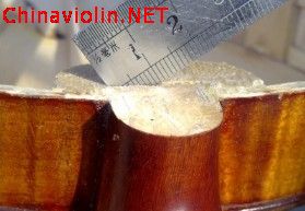 参考图   bjpg.jpg