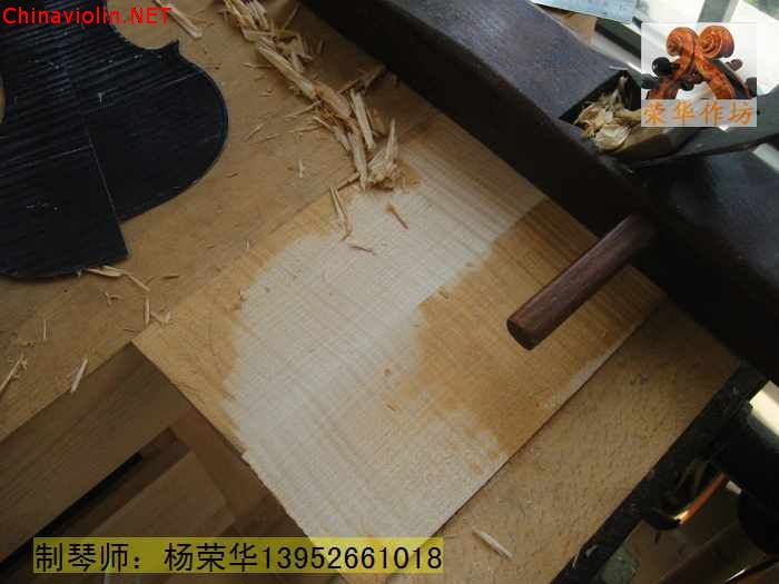 neo_img_snv89492.jpg