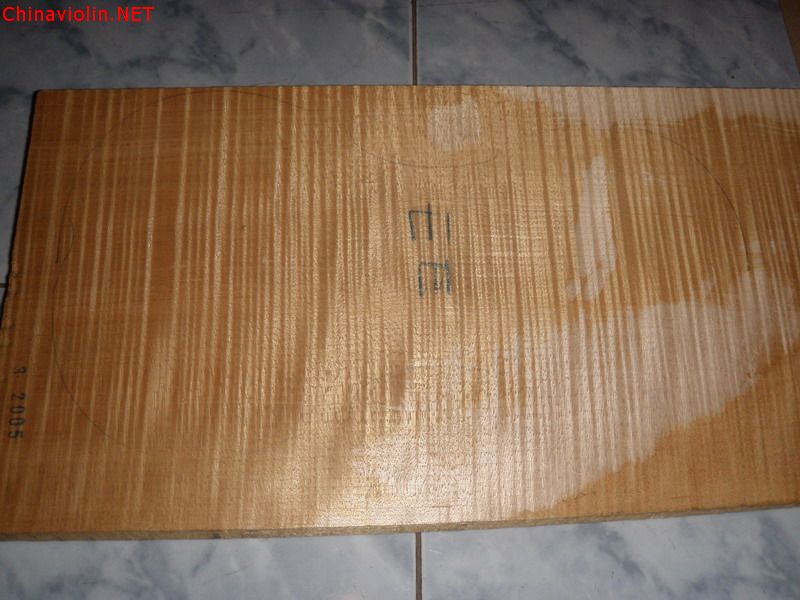 p1010243.jpg