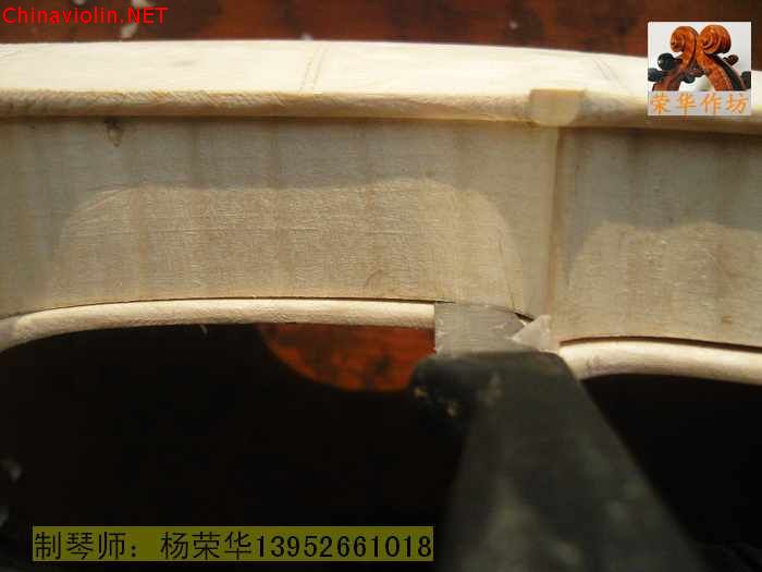 neo_img_snv88627.jpg