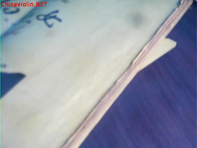 照片 005.jpg