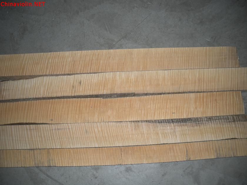 dscn2251.jpg