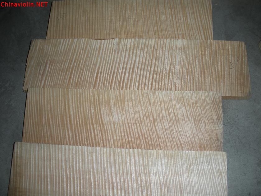 dscn2246.jpg