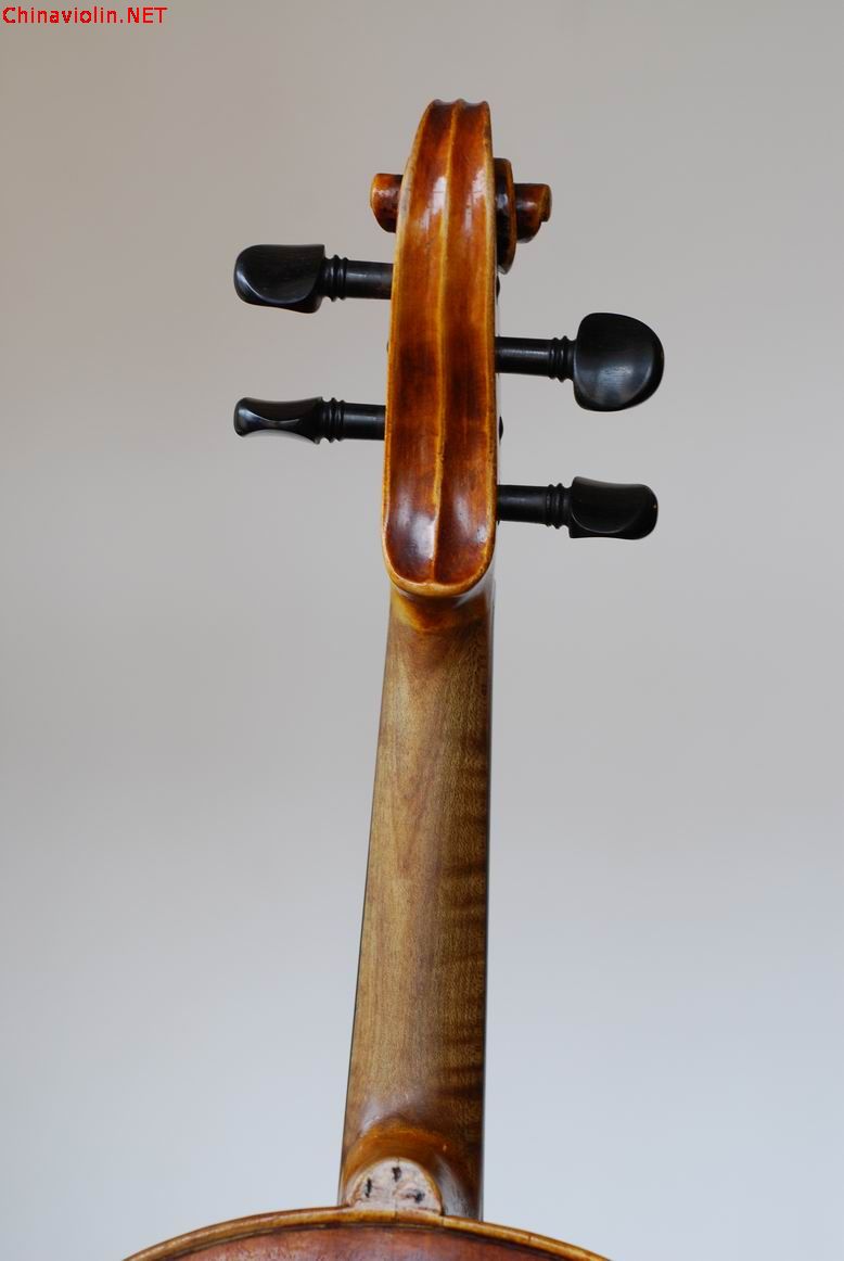 调整大小 dsc_0446.jpg