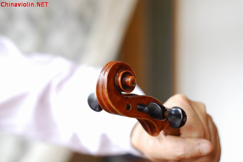 调整大小 dsc_0450.jpg