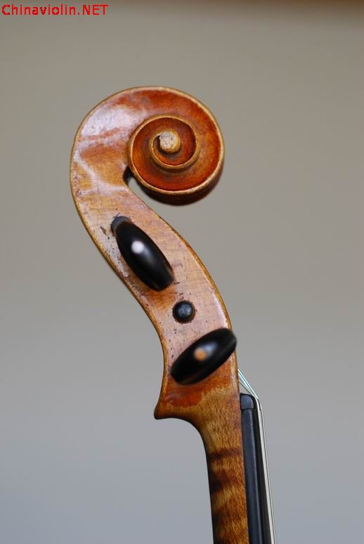 调整大小 dsc_0467.jpg